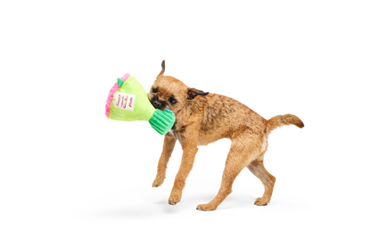 BARK X Crufts Boopquet of Roses Dog Toy