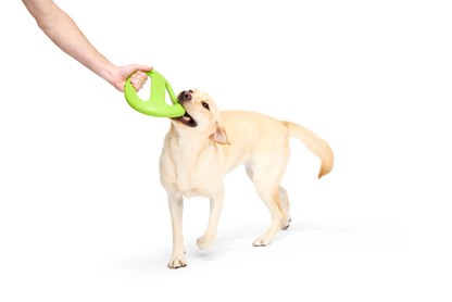 BARK X Crufts Aviator Dog Toy