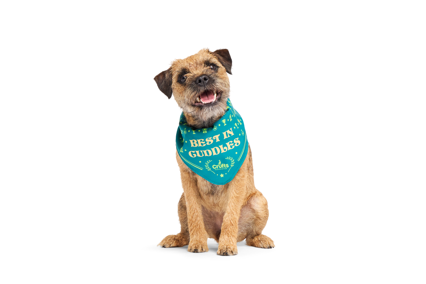 BARK X Crufts Winner's Bandana Dog Toy