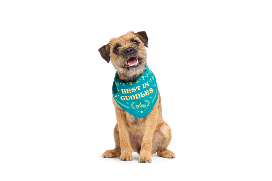 BARK X Crufts Winner's Bandana Dog Toy