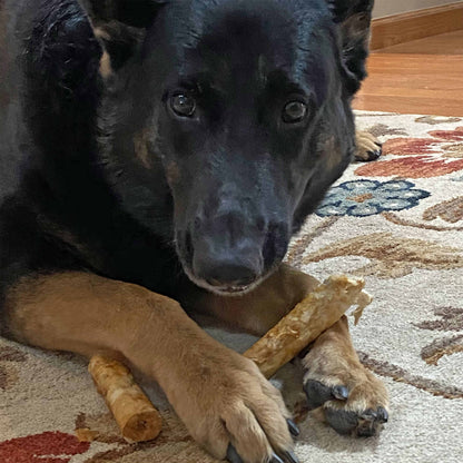 Nothin' to Hide 10" Large Beef Rolls Dog Chews - 2 Pack