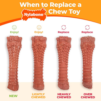 Nylabone Extreme Chew Textured Chicken