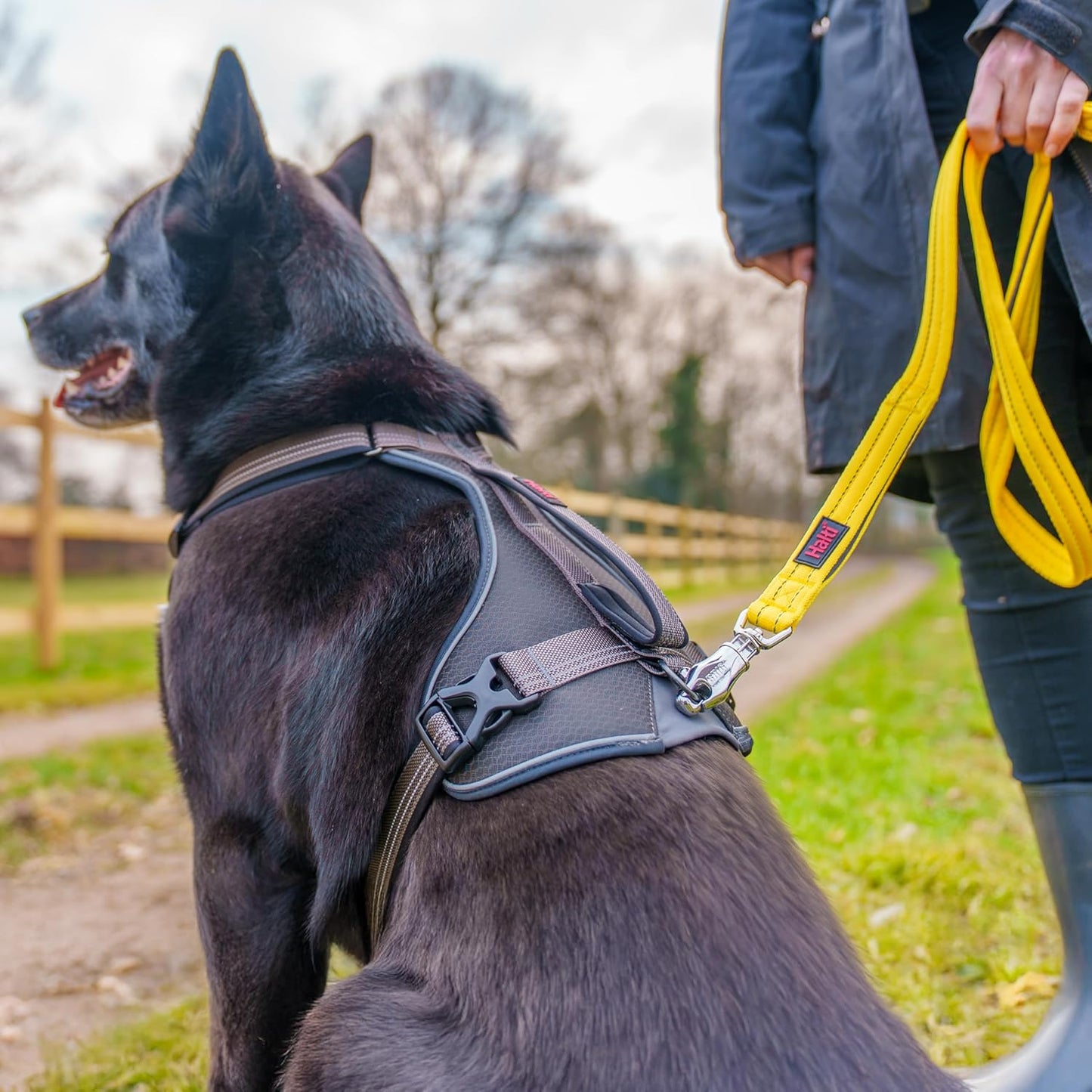 Halti BRIG Safety Dog Lead Black