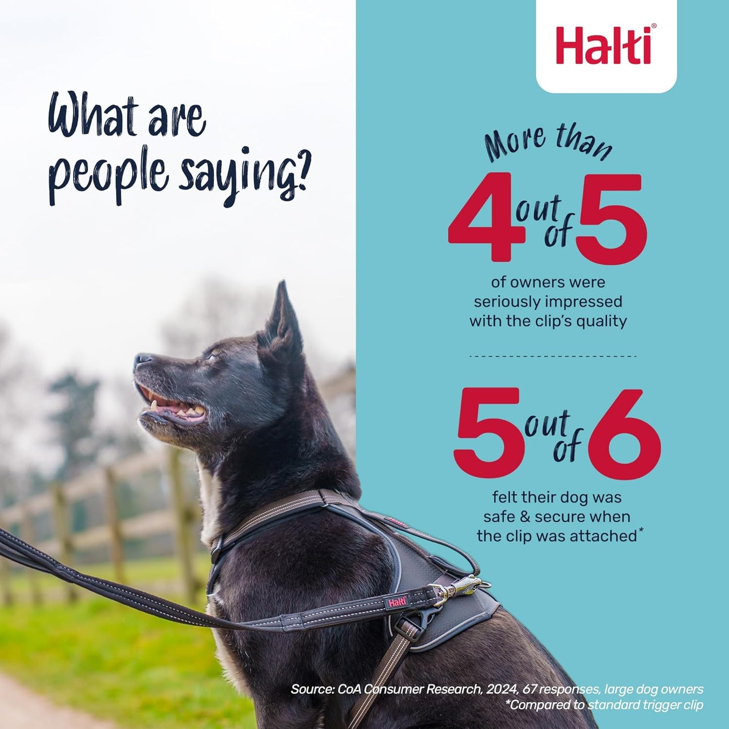 Halti BRIG Safety Dog Lead Black