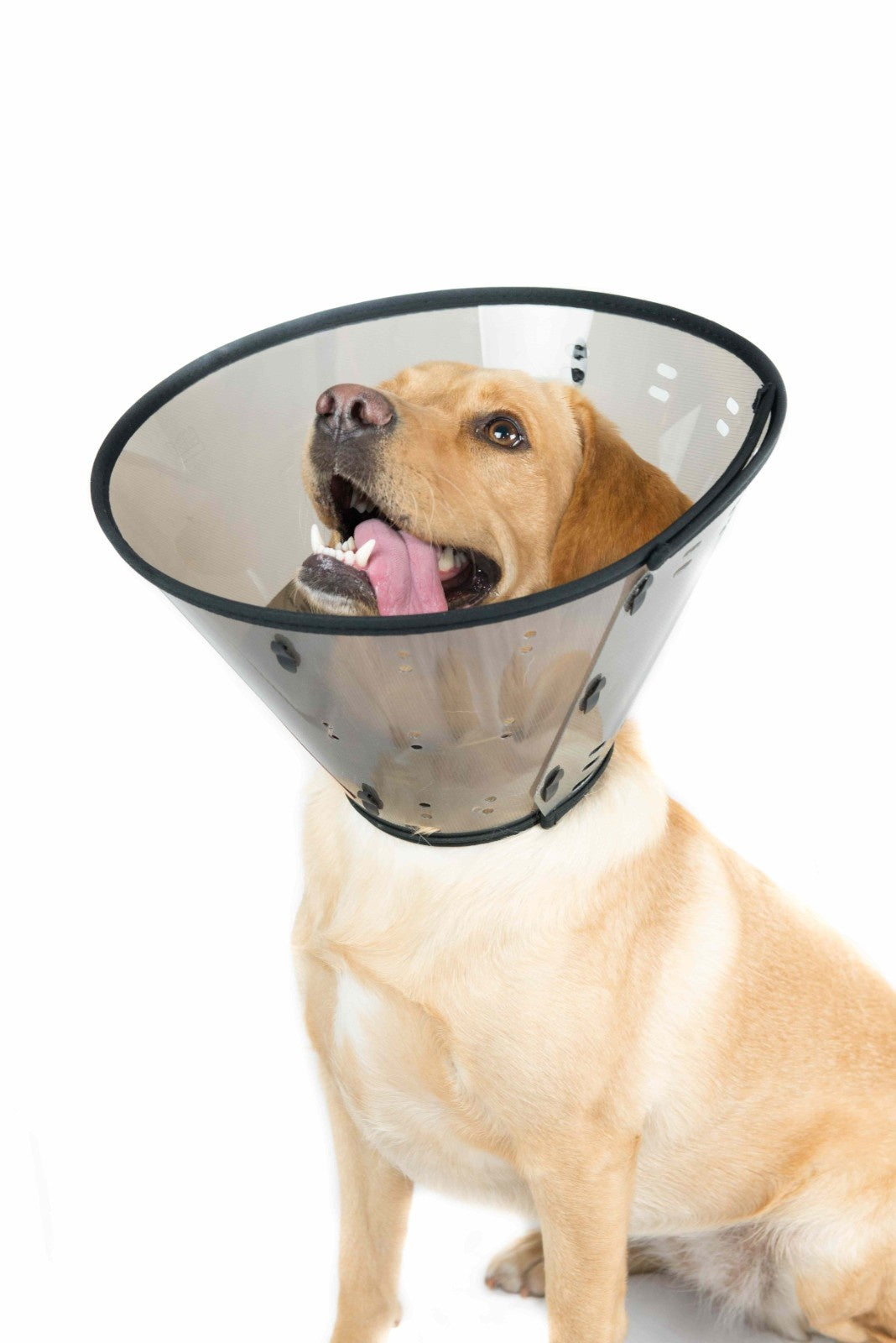 MDC Smart Collar for Dogs