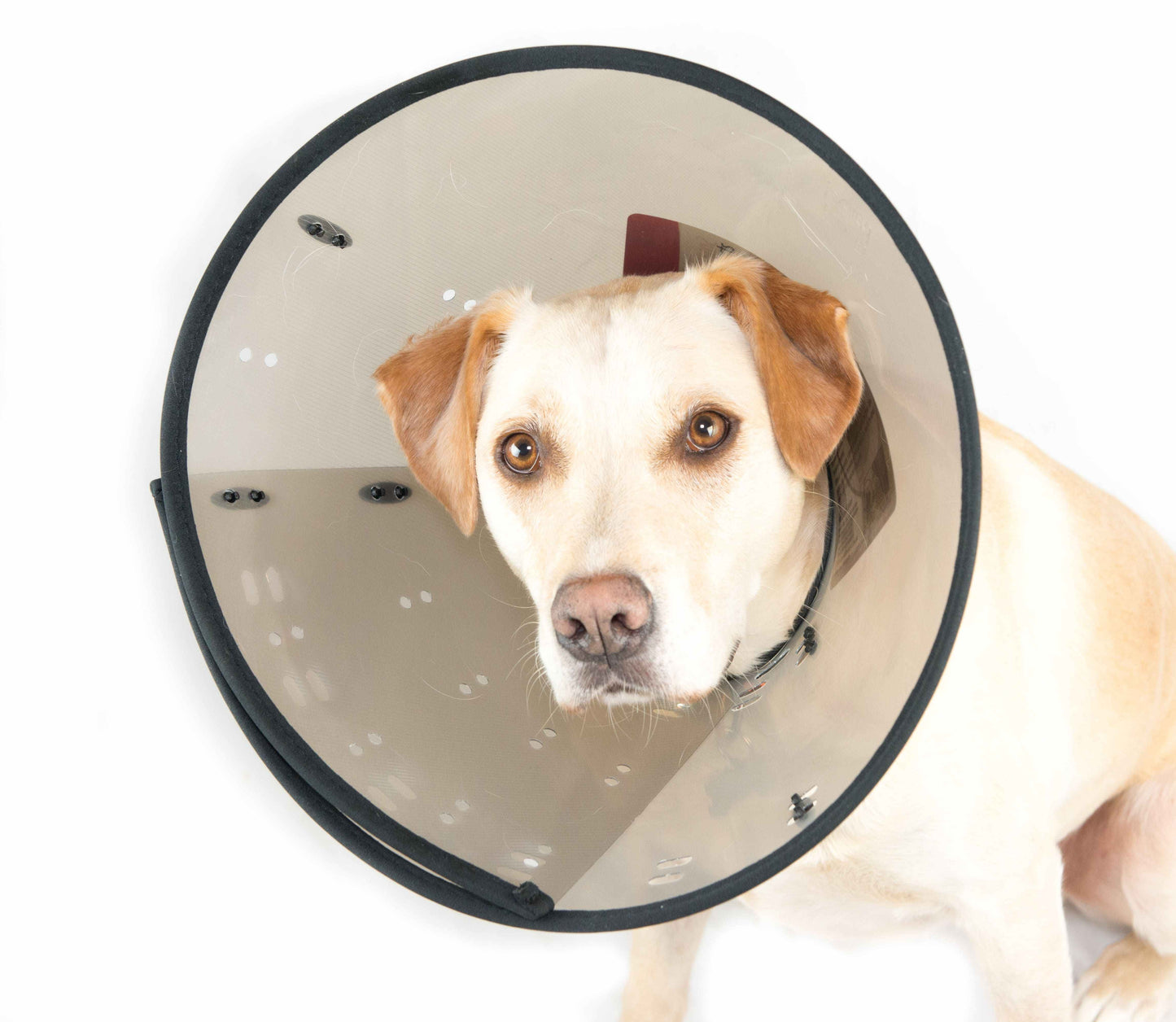 MDC Smart Collar for Dogs