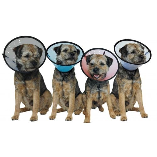 MDC Smart Collar for Dogs