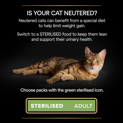 Pro Plan Sterilised Turkey in Jelly Adult Wet Cat Food