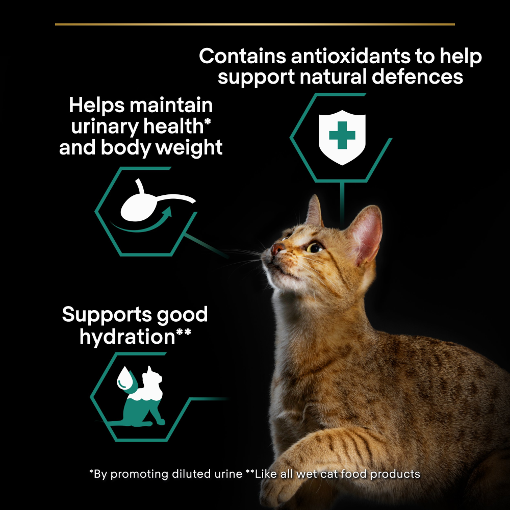 Pro Plan Sterilised Turkey in Jelly Adult Wet Cat Food