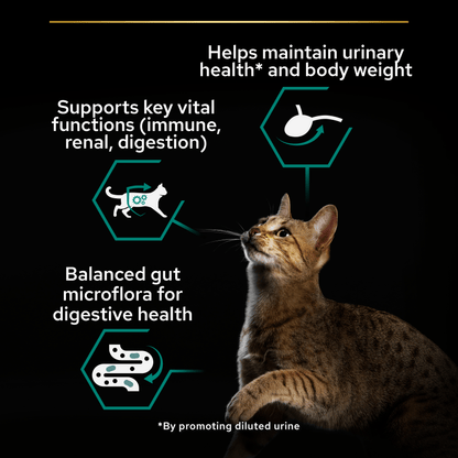 Purina Pro Plan Senior 7+ Sterilised Maintenance with Turkey in Gravy Wet Cat Food Pouches