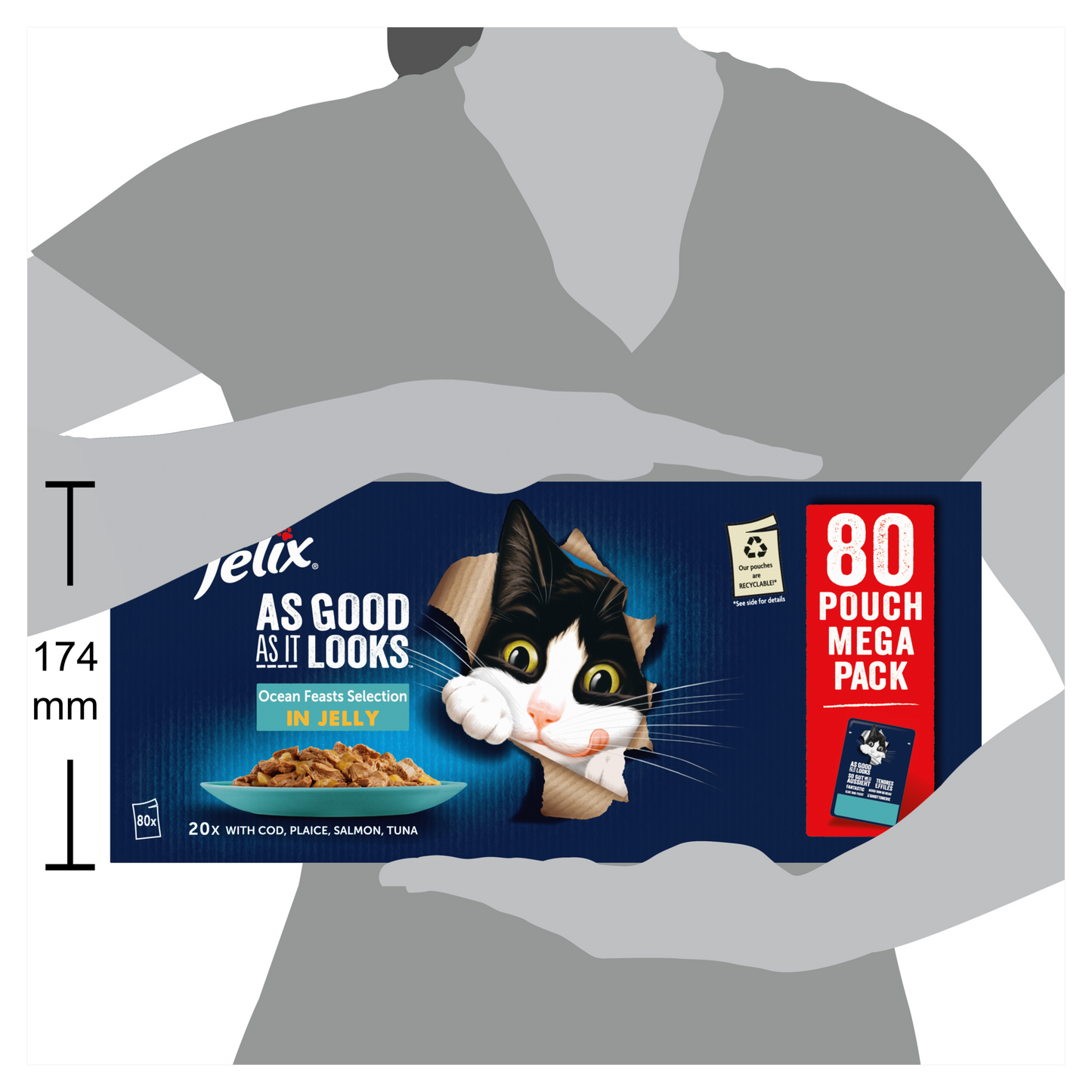 Felix As Good As it Looks Ocean Feasts Selection in Jelly Adult Wet Cat Food