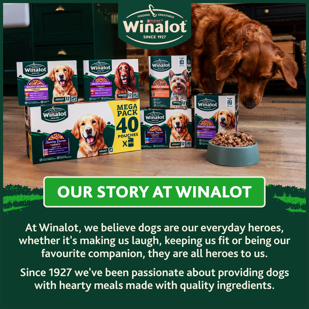 Winalot Meaty Chunks Small Dog Mixed in Gravy with Chicken, Lamb & Beef Wet Dog Food
