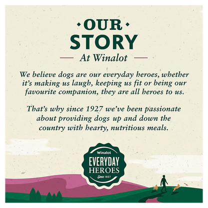 Winalot Meaty Chunks Mixed Rich in Chicken, Beef & Lamb in Gravy Adult Wet Dog Food Pouches Mega Pack