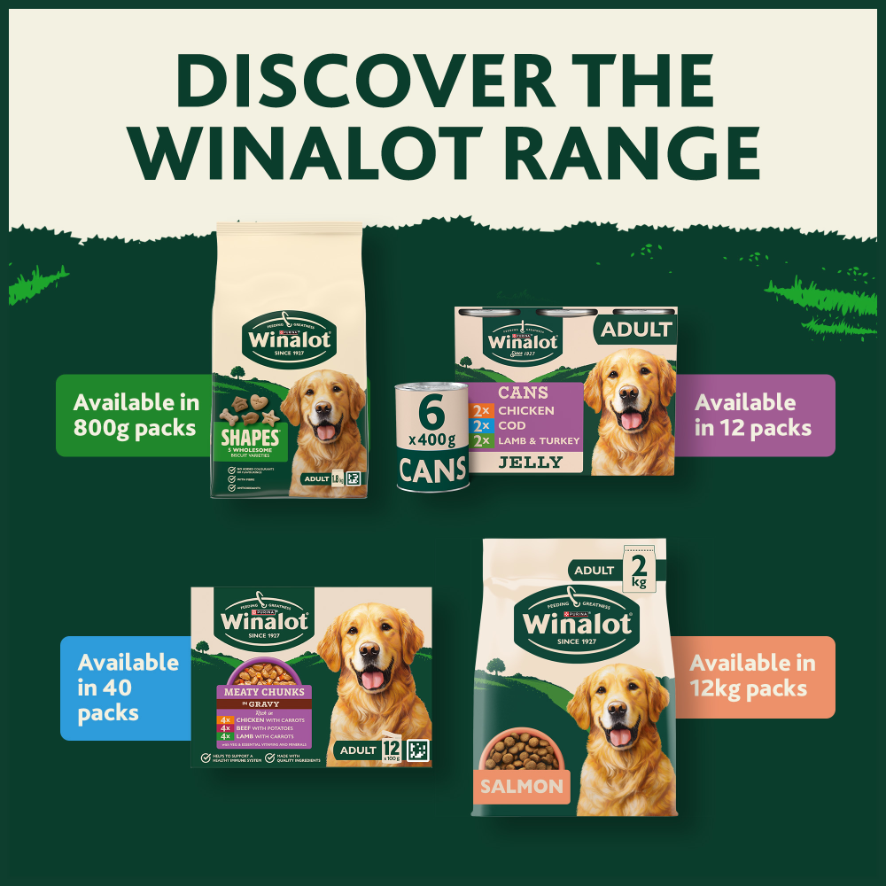 Winalot Adult Dry Dog Food with Chicken