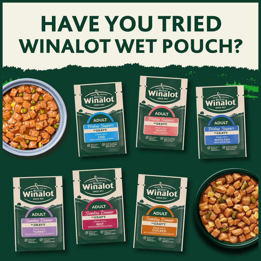 Winalot Adult Dry Dog Food with Chicken