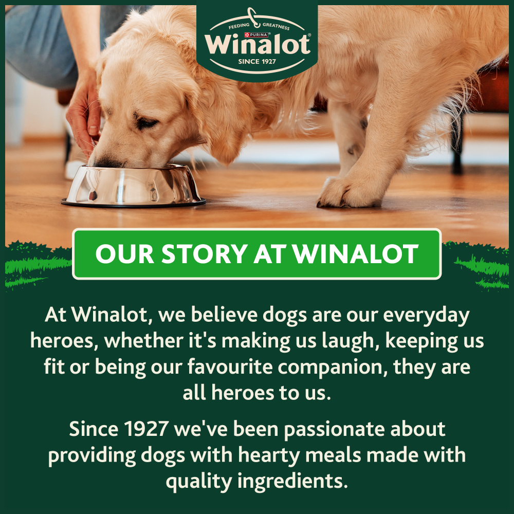 Winalot Adult Dry Dog Food with Chicken