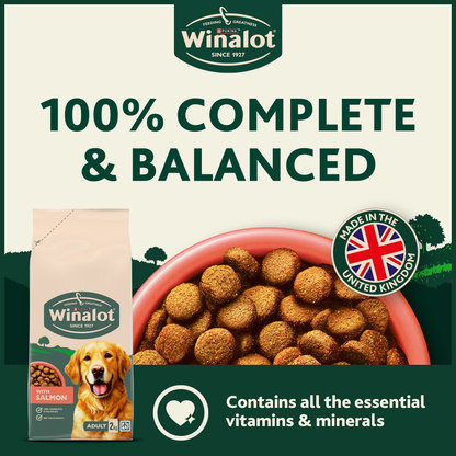Winalot Adult Dry Dog Food with Salmon