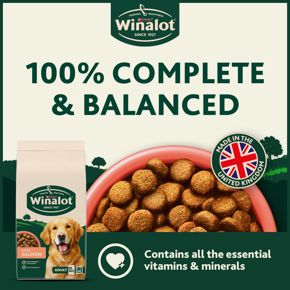 Winalot Adult Dry Dog Food with Salmon