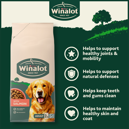 Winalot Adult Dry Dog Food with Salmon