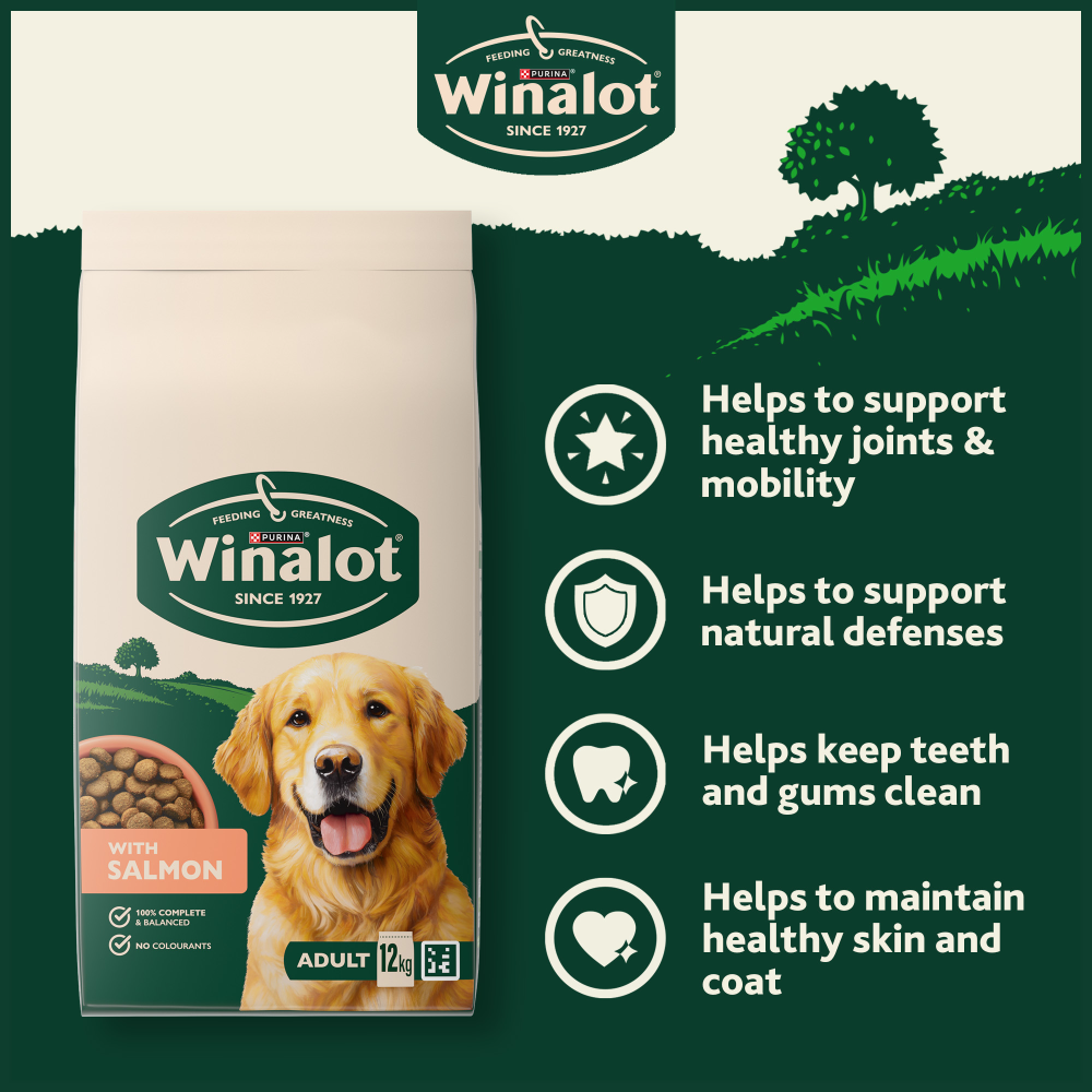Winalot Adult Dry Dog Food with Salmon