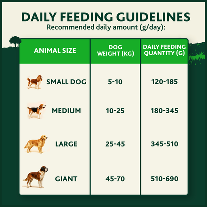 Winalot Adult Dry Dog Food with Salmon