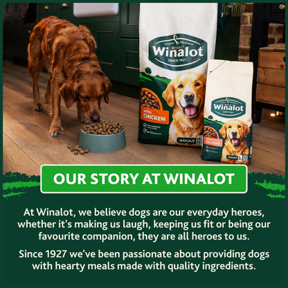 Winalot Adult Dry Dog Food with Salmon