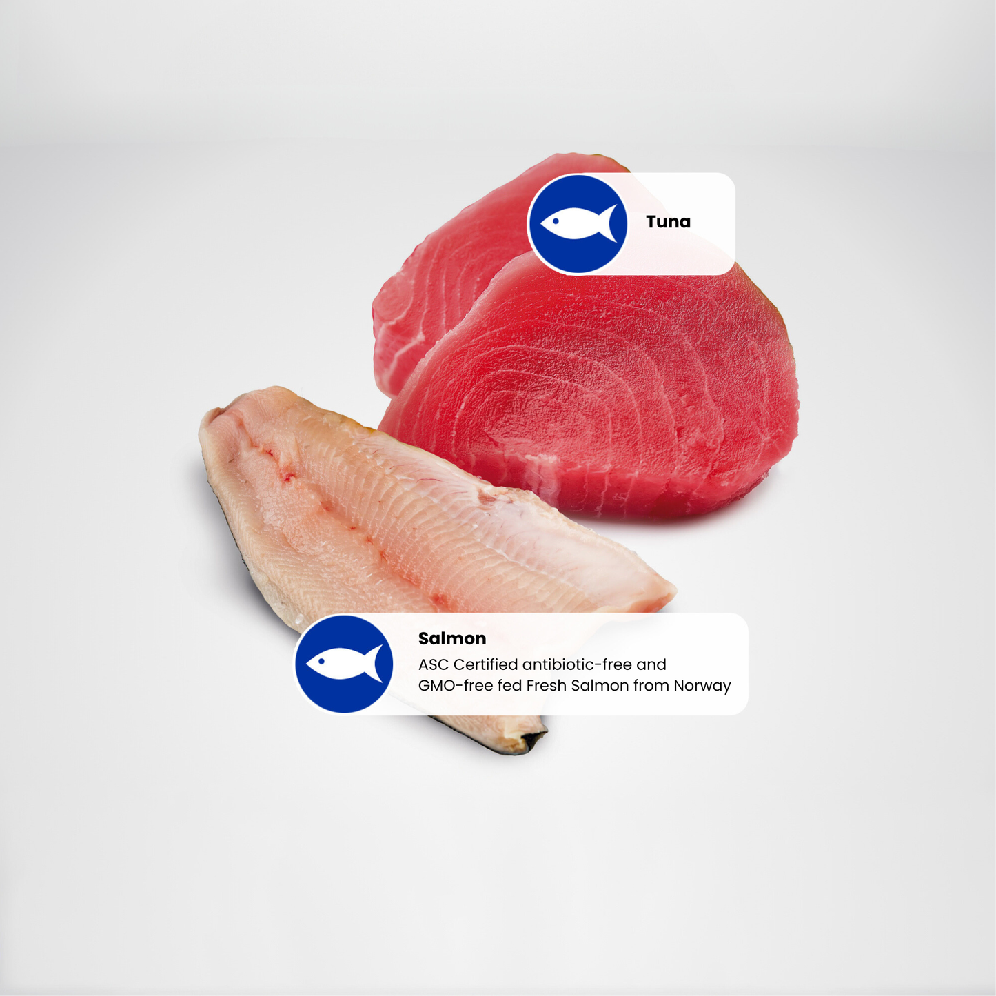 N&D Ocean Adult Wet Cat Food - Tuna & Salmon