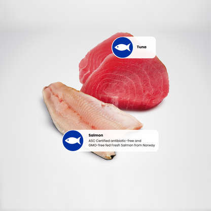 N&D Ocean Adult Wet Cat Food - Tuna & Salmon