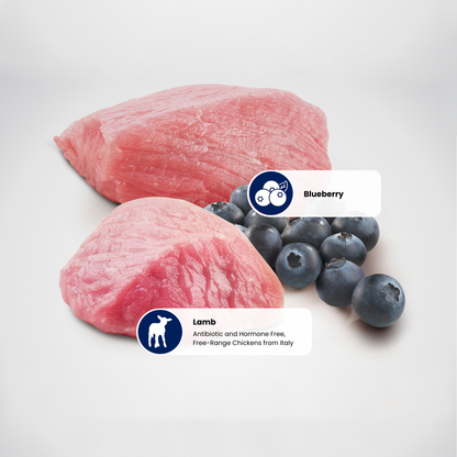 N&D Prime Adult Wet Cat Food - Lamb & Blueberry