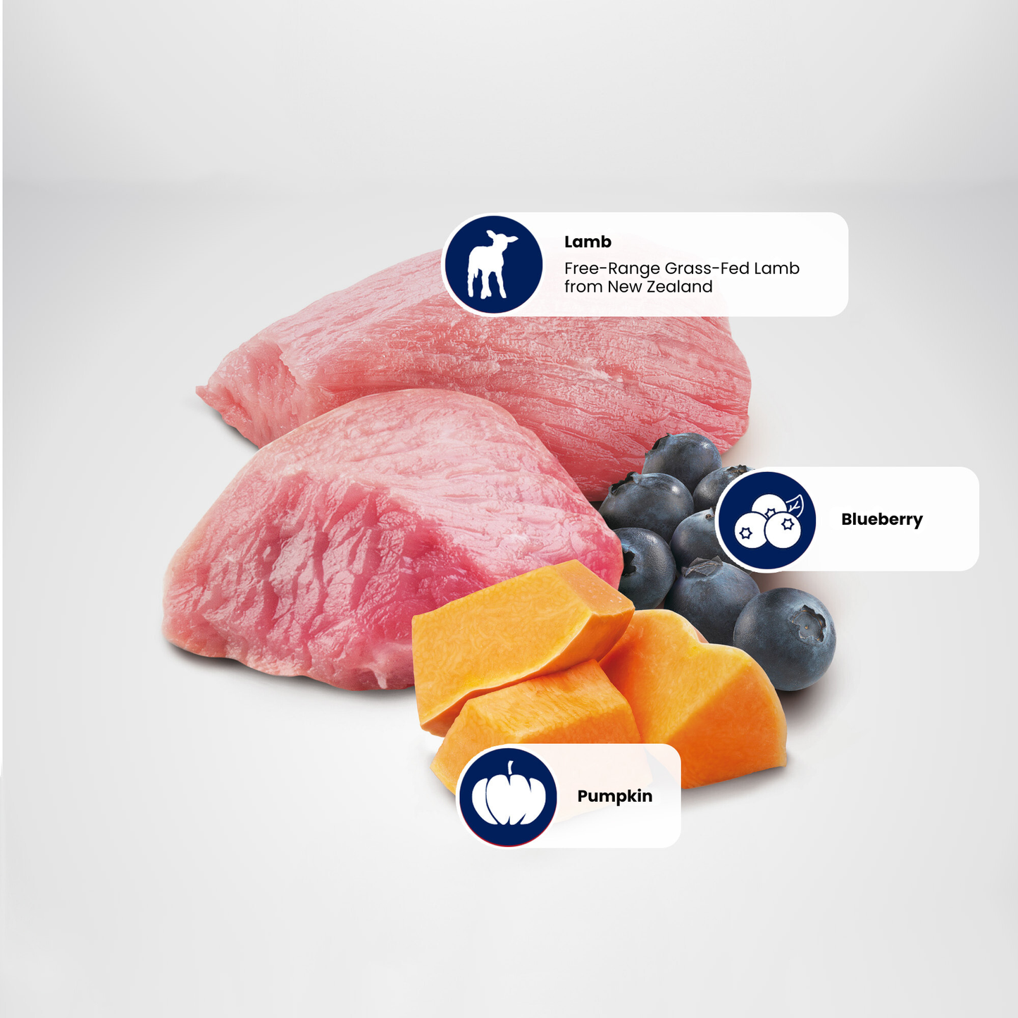 N&D Pumpkin Adult Wet Cat Food - Lamb, Pumpkin & Blueberry