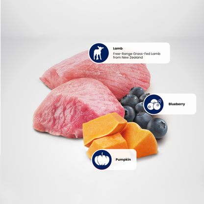 N&D Pumpkin Adult Wet Cat Food - Lamb, Pumpkin & Blueberry