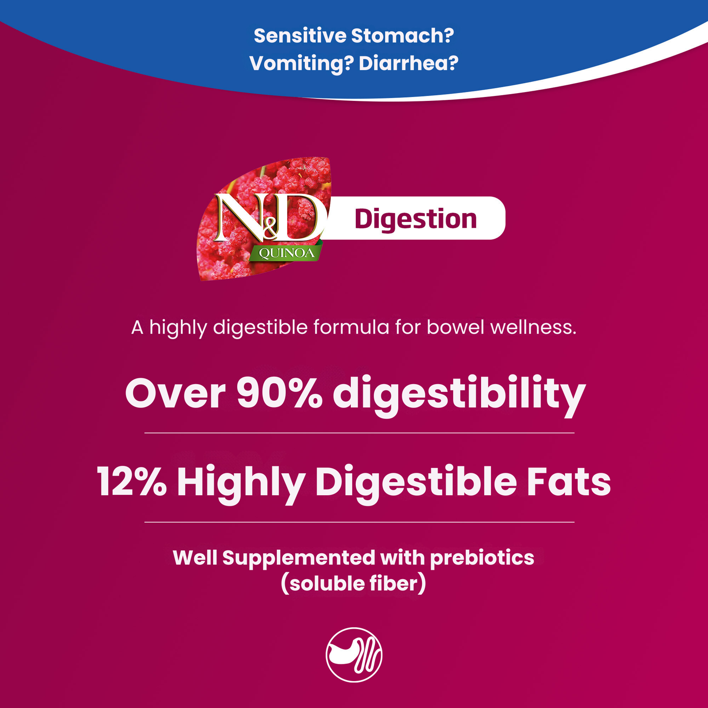 N&D Quinoa Digestion Adult Wet Cat Food