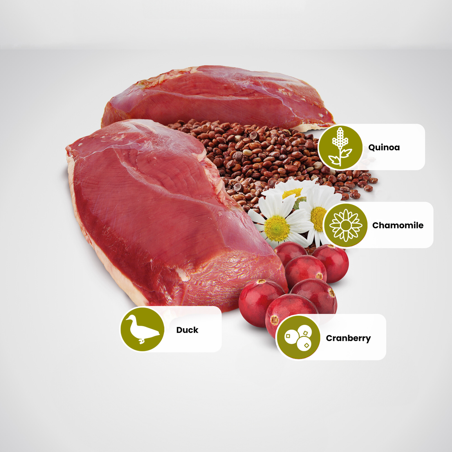 N&D Quinoa Urinary Adult Wet Cat Food