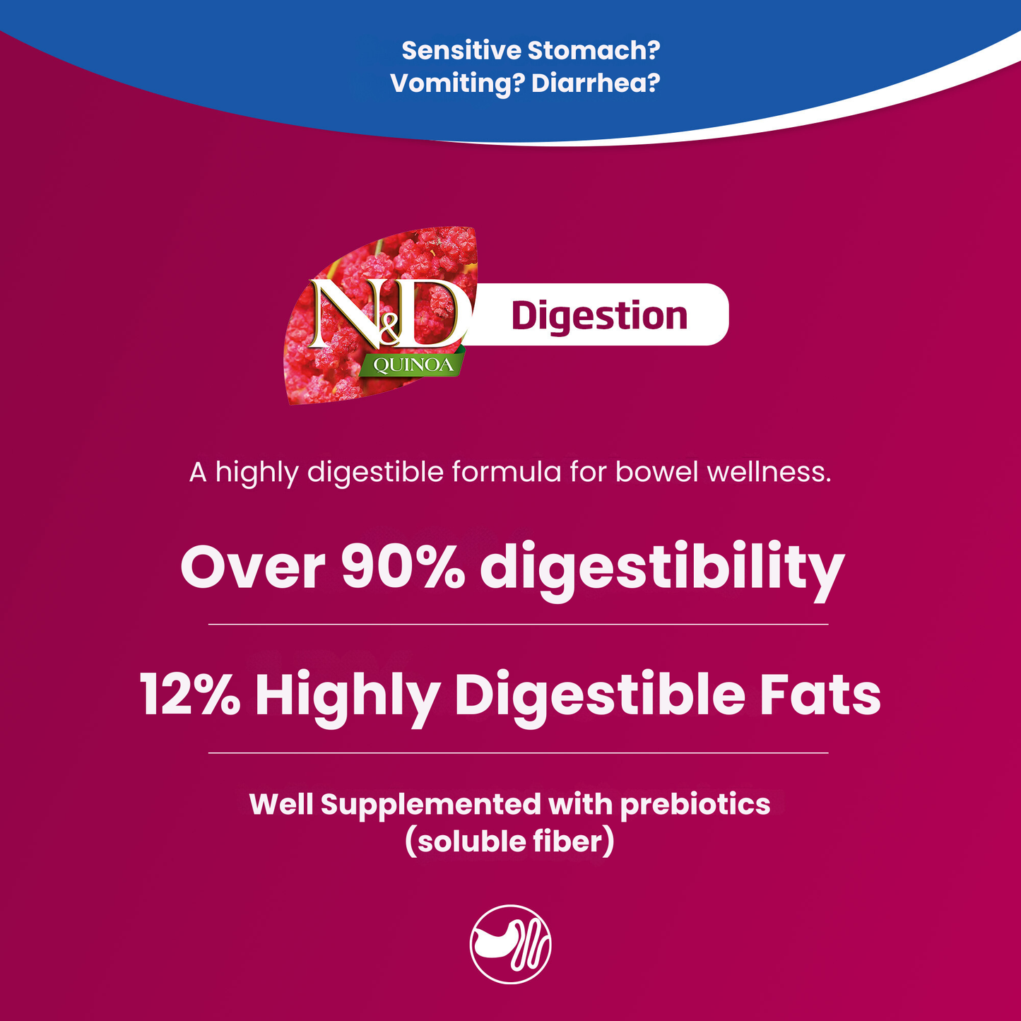 N&D Quinoa Digestion Adult Mini Wet Dog Food