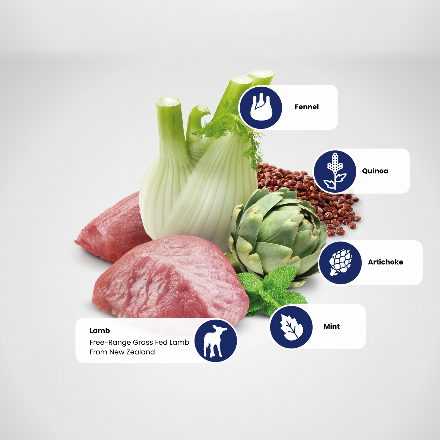 N&D Quinoa Digestion Adult Mini Wet Dog Food