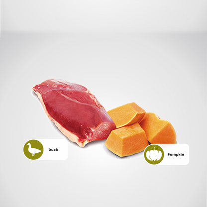 N&D Pumpkin Adult Wet Dog Food - Duck & Pumpkin