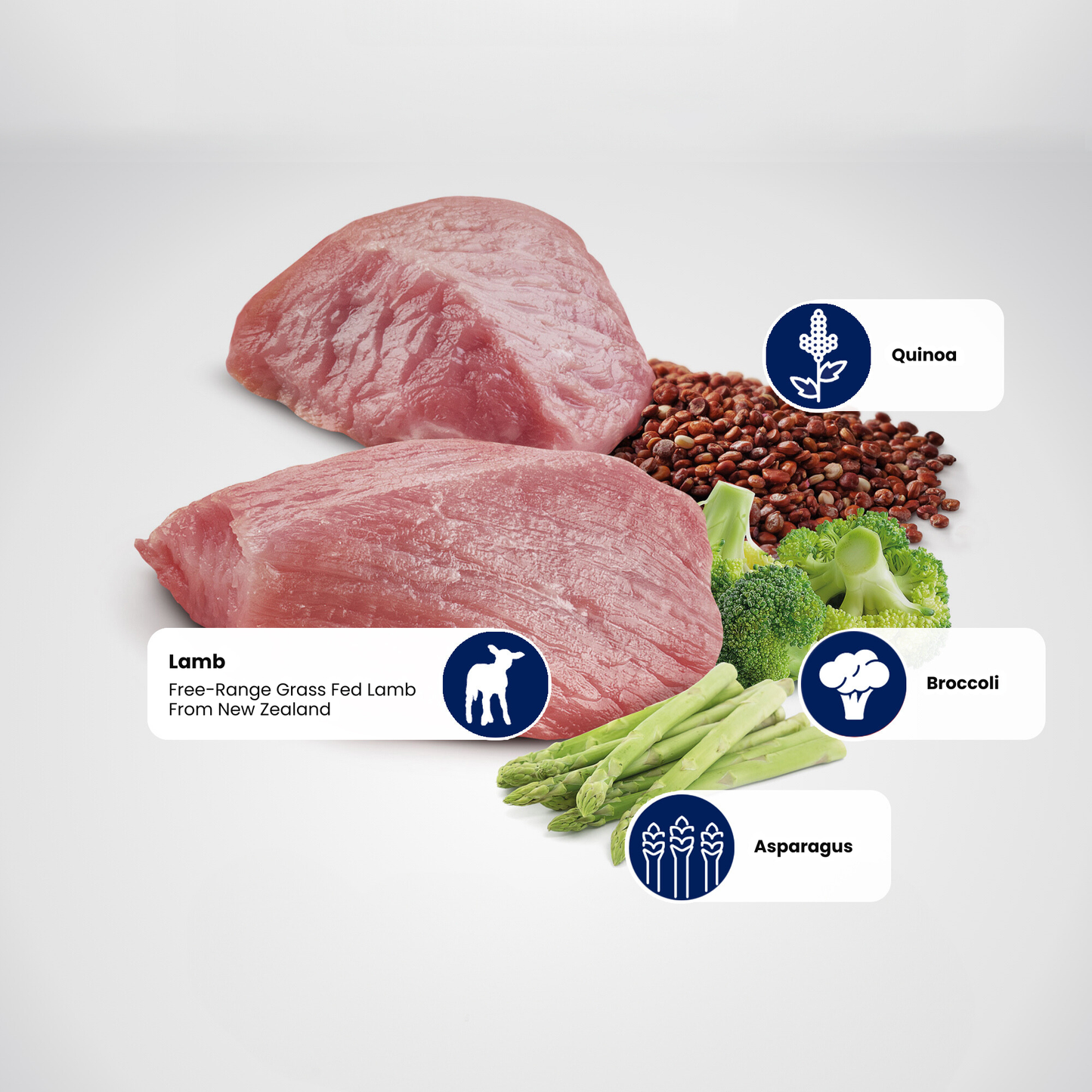 N&D Quinoa Weight Management Adult Wet Dog Food