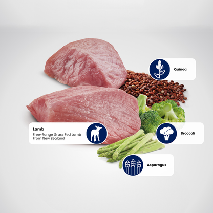 N&D Quinoa Weight Management Adult Wet Dog Food