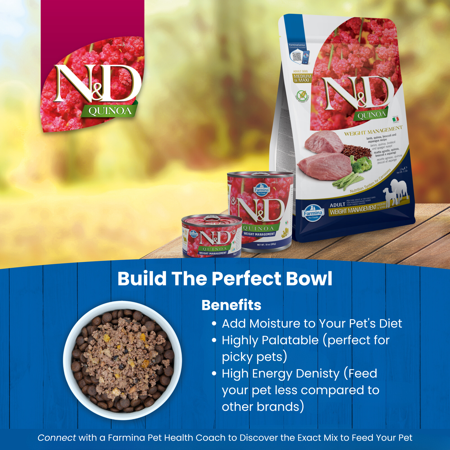 N&D Quinoa Weight Management Adult Wet Dog Food
