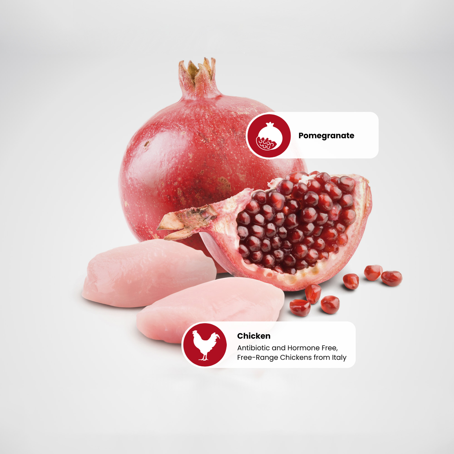 N&D Prime Kitten Wet Cat Food - Chicken & Pomegranate