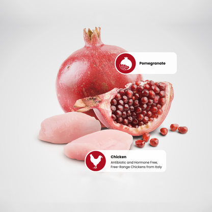 N&D Prime Kitten Wet Cat Food - Chicken & Pomegranate