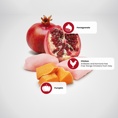 N&D Pumpkin Puppy Mini Wet Dog Food - Chicken, Pumpkin & Pomegranate