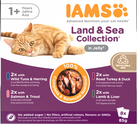 Iams Delights Adult Land & Sea Collection in Jelly Wet Cat Food