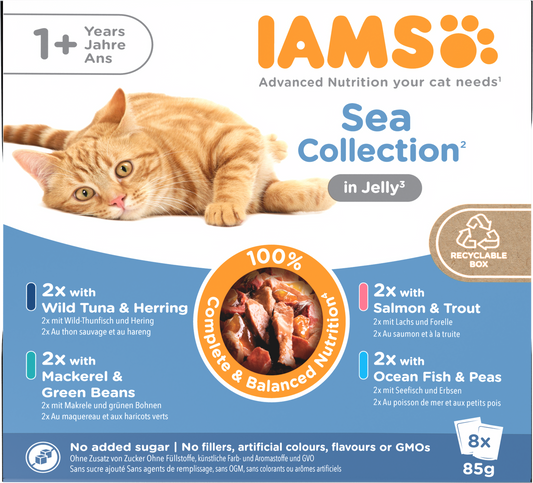 Iams Delights Adult Sea Collection in Jelly Wet Cat Food