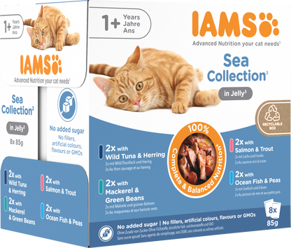 Iams Delights Adult Sea Collection in Jelly Wet Cat Food
