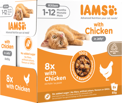 Iams Delights Kitten Wet Cat Food with Chicken in Jelly
