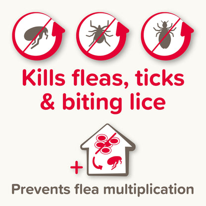 Beaphar FIPROtec Combo Flea & Tick Spot-On Solution for Small Dogs (2-10kg)