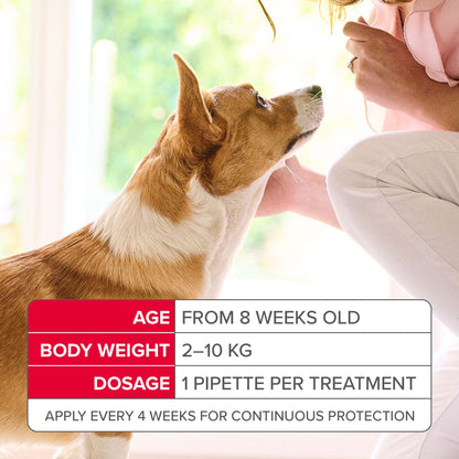 Beaphar FIPROtec Combo Flea & Tick Spot-On Solution for Small Dogs (2-10kg)