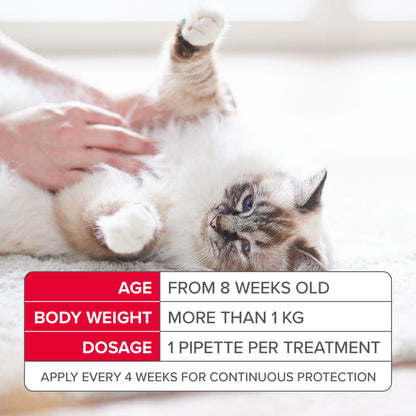 Beaphar FIPROtec Flea & Tick Spot-On Solution for Cats