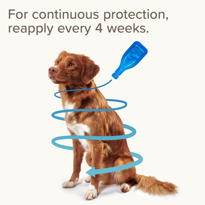 Beaphar FIPROtec Flea & Tick Spot-On Solution for Small Dogs (2-10kg)